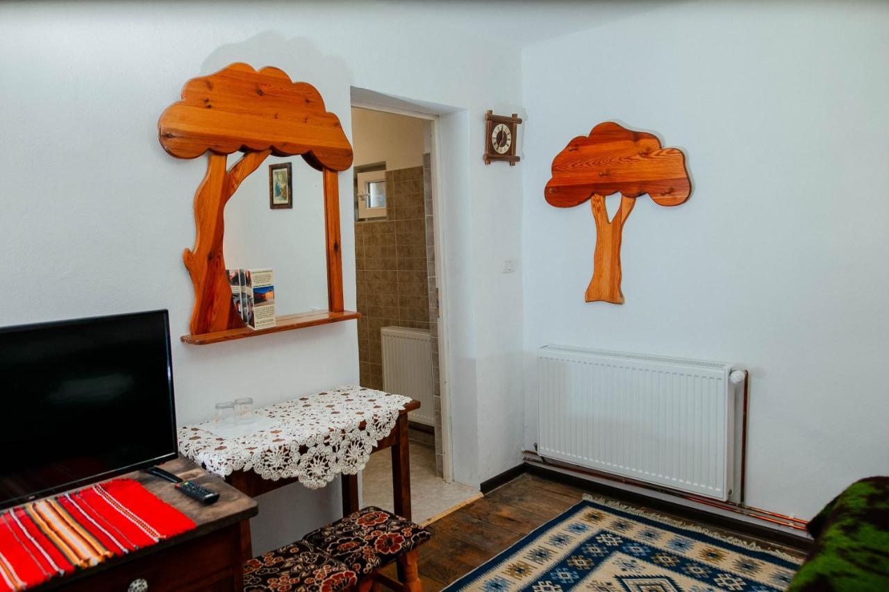 Гостевой дом Casa Pe Valea Hartibaciului Barcut Экстерьер фото